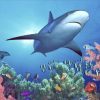 Shark Reef - SRF